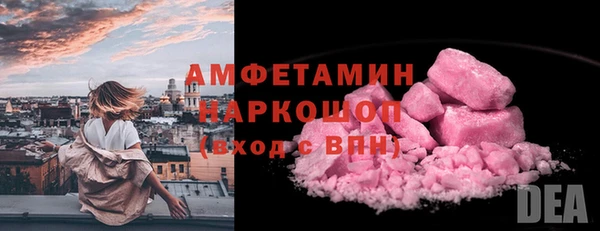 PSILOCYBIN Алзамай