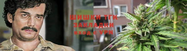 PSILOCYBIN Алзамай
