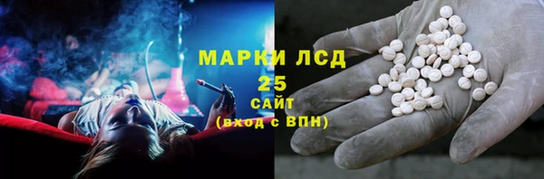 PSILOCYBIN Алзамай