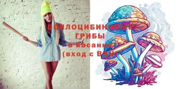 PSILOCYBIN Алзамай