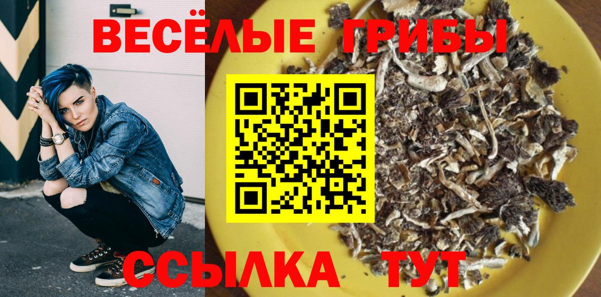 Псилоцибиновые грибы Cubensis  Галлюциногенные грибы Cubensis  купить   Алексеевка  Вход с VPN 