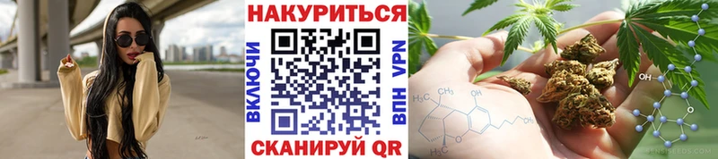 Шишки марихуана индика  купить наркоту  Алексеевка 